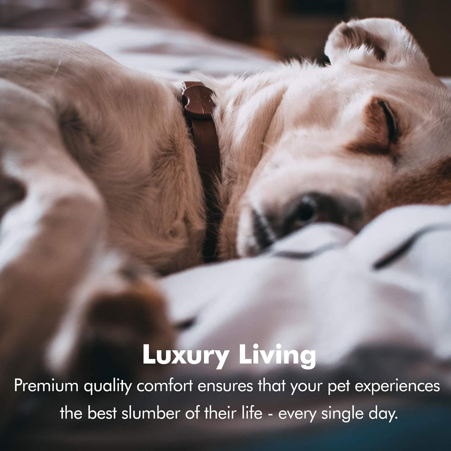 Small Dog Bed, Orthopedic Sofa Memory Foam Mattress, Calming Couch, Wall Rim Pillow, Water Resistant Liner, Washable Cover, Non-Slip Bottom, Chester, Small Khaki Beige