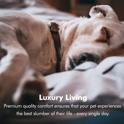 Small Dog Bed, Orthopedic Sofa Memory Foam Mattress, Calming Couch, Wall Rim Pillow, Water Resistant Liner, Washable Cover, Non-Slip Bottom, Chester, Small Khaki Beige